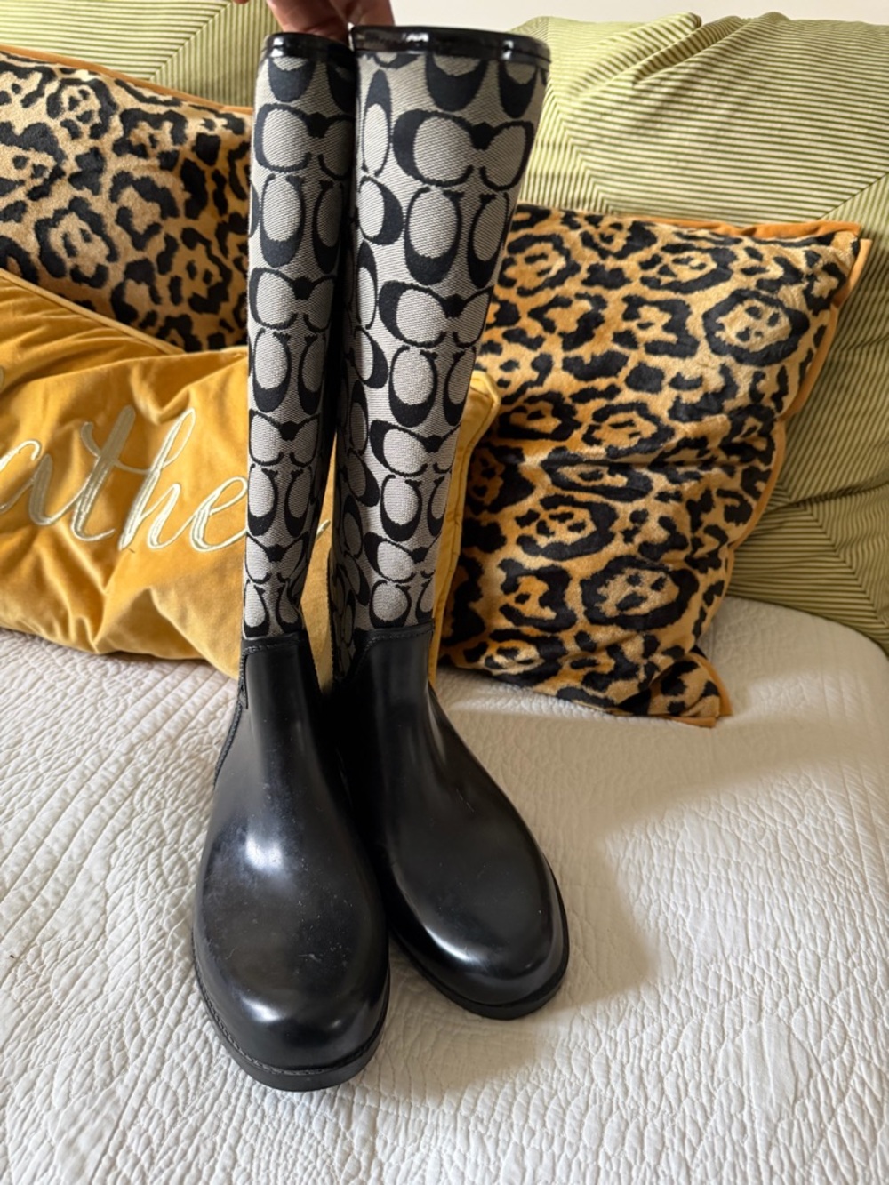 Coach Black Chelsea Boots with Taupe & Black Signature Tights - Picture 2 of 5